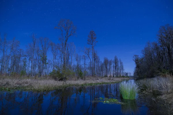 Okefenokee pantano por la noche con estrellas —  Fotos de Stock