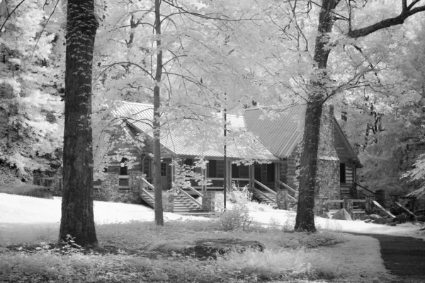 Infrared Photo Forest Cabin — Stock Photo, Image