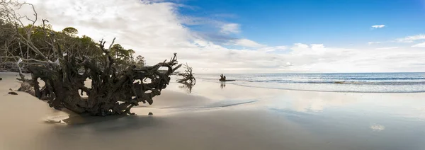 야생 해변의 180도 파노라마 — 스톡 사진