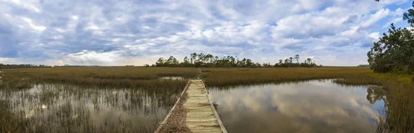 180 degree South Carolina panorama — Stock Photo, Image