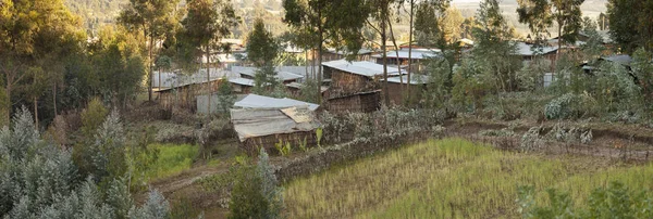 Small village and farm in Ethiopia — Stock Photo, Image