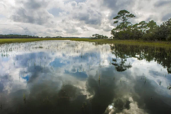 Landscape Flood Water Reflection Trees Hunting Island State Park South — Stock Photo, Image