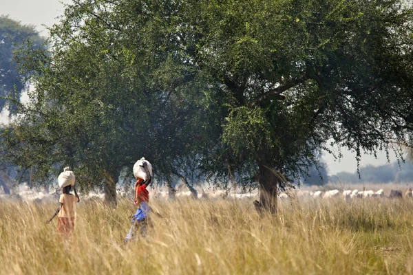 Frauen, die Lasten im Südsudan tragen — Stockfoto