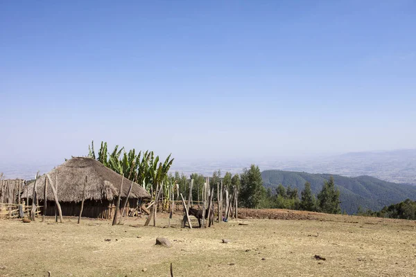 Jordbruksmark Och Enkel Koja Etiopiska Höglandet — Stockfoto