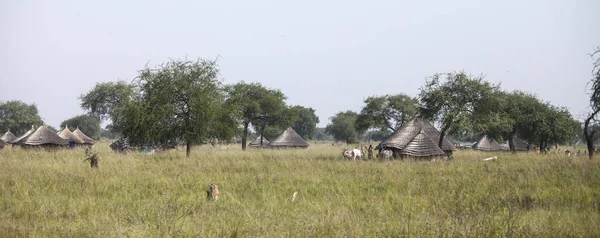 Panorama africké vesnice — Stock fotografie