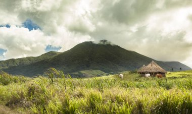 Tropikal konumda sığırlar, kulübeler ve volkanlar