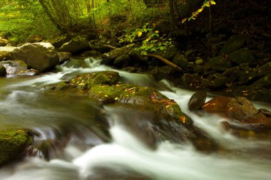 derin ormana çağlayan