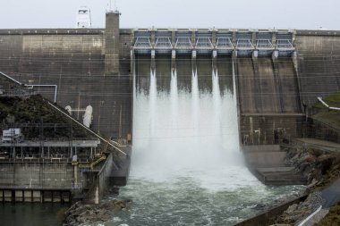 wollwerth stephen doğal görünümü