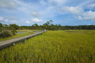 Hunting Island State Park South Carolina, Abd'de insanlar ve yeşil çimenli çayır ile Boardwalk