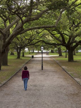 Güney Carolina, Charleston 'da ağaçların arasında yürüyen bir kadın.