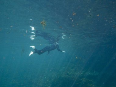 Nehir suyunda yüzen düşük açı
