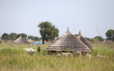 Köy, Güney Sudan