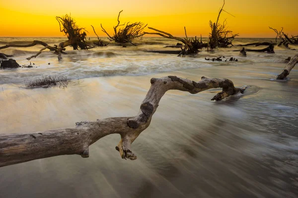 Tiempo Exposición Las Olas Madera Deriva Océano Atardecer —  Fotos de Stock