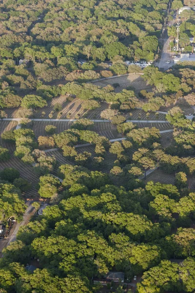 Luchtfoto Van Velden Met Bos — Stockfoto