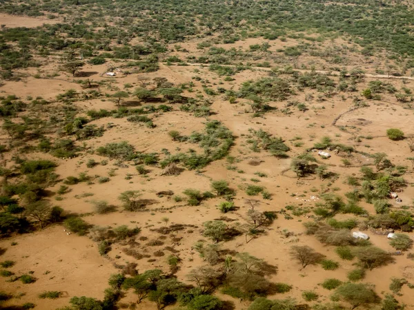 Trockenes Weideland Sahel Äthiopiens — Stockfoto