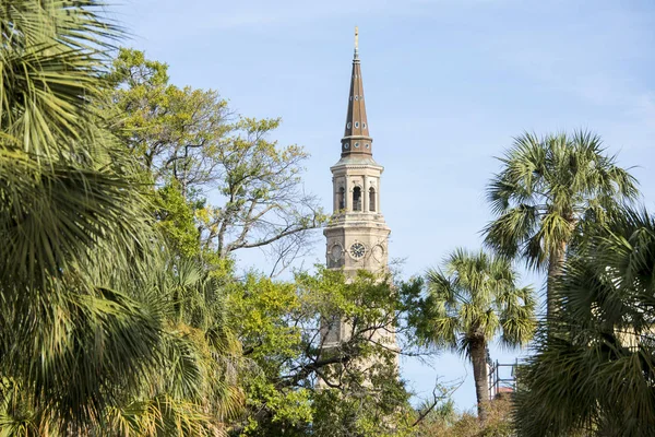 サウスカロライナ州チャールストンのセントフィリップス教会の尖塔を持つヤシの木 — ストック写真
