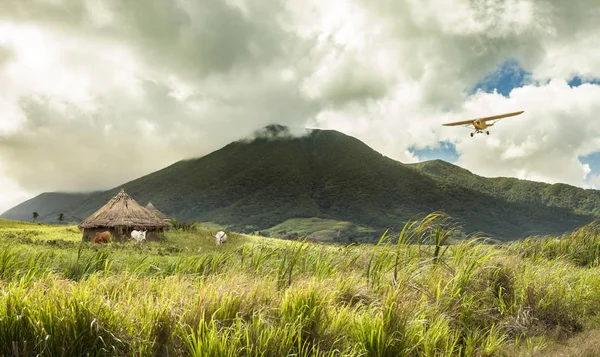 Uzak Tropikal Konumda Kulübeler Üzerinde Uçan Küçük Uçak — Stok fotoğraf