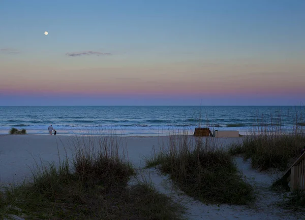 Hilton Head Island Plajı — Stok fotoğraf