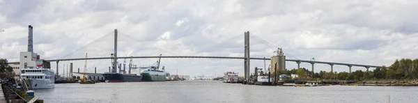 Skibe og Talmadge Bridge, Savannah - Stock-foto