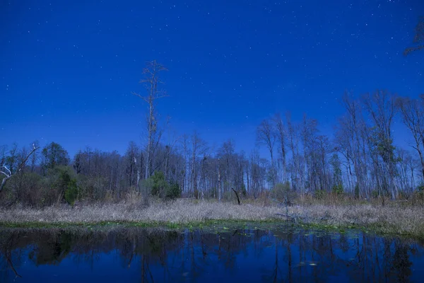 Foto nocturna del pantano de Okefenokee — Foto de Stock