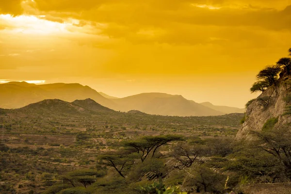 Пустеля Східної Ефіопії Біля Сомалі — стокове фото