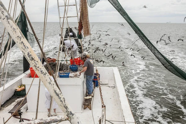 Beaufort South Carolina Usa September 2015 Male Worker Hauling Net — Stock Photo, Image