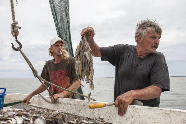 Pescadores comerciales que clasifican capturas — Foto de Stock