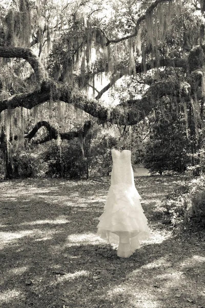 Black and white scene of wedding dress hanging on branch in woods