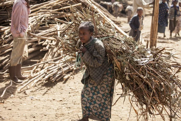 Oromia Ethiopië November 2015 Ongeïdentificeerde Meid Draagt Een Zware Lading — Stockfoto