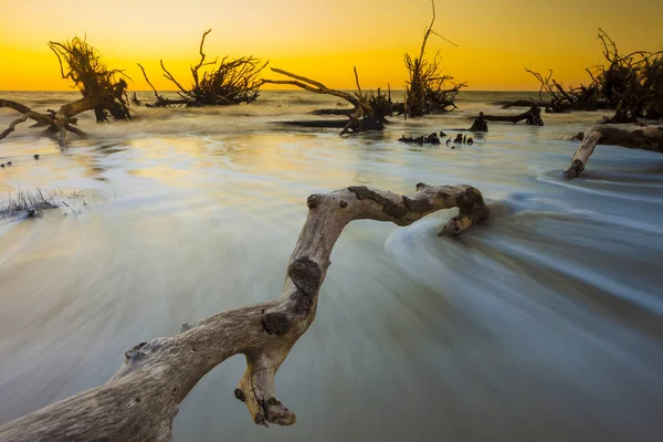 Madera Deriva Océano Atardecer Larga Exposición —  Fotos de Stock