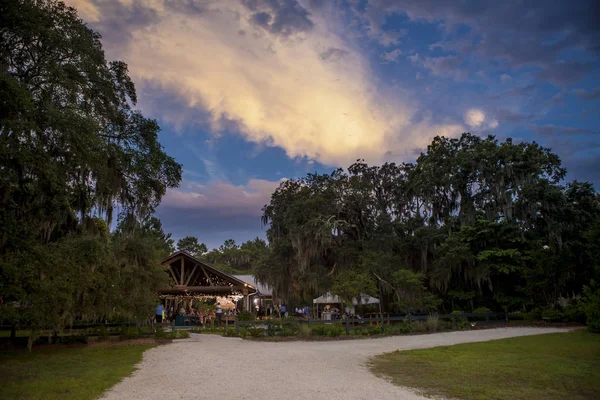 Elegante Fiesta Jardín Bajo Pabellón Árboles Atardecer —  Fotos de Stock