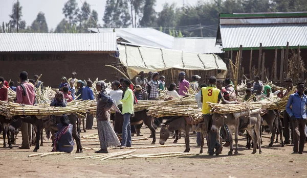 Jeldu Gojo Ethiopië April 2015 Niet Geïdentificeerde Handelaren Vervoeren Goederen — Stockfoto