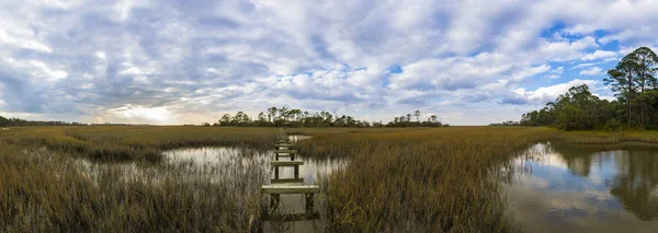 180-Grad-Rundblick auf die südliche Carolina-Küste — Stockfoto