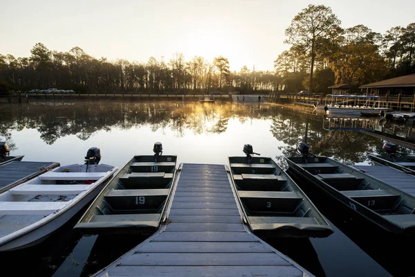 Dawn in the Okefenokee — Stock Photo, Image