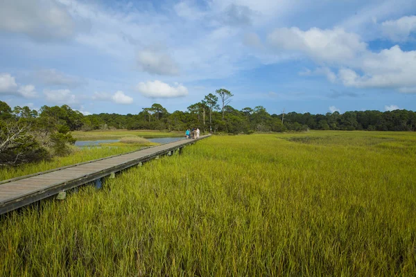 Promenade Met Mensen Groen Grazige Weide Hunting Island State Park — Stockfoto