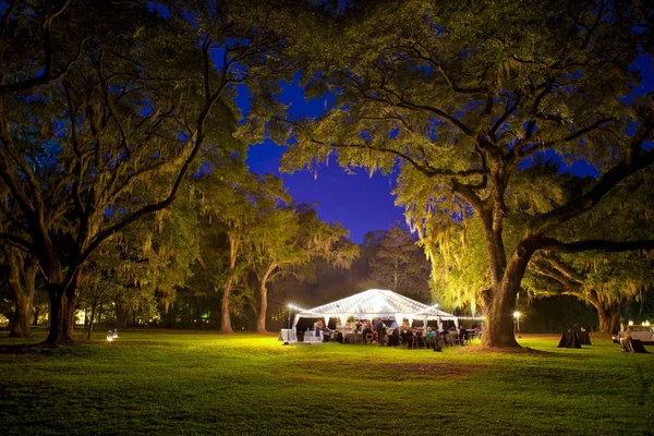 Buiten Ontvangst Onder Tent Bomen Nacht — Stockfoto