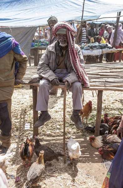 Addis Ababa Etiyopya Circa Kasım 2014 Tavuk Horoz Ile Pazarda — Stok fotoğraf