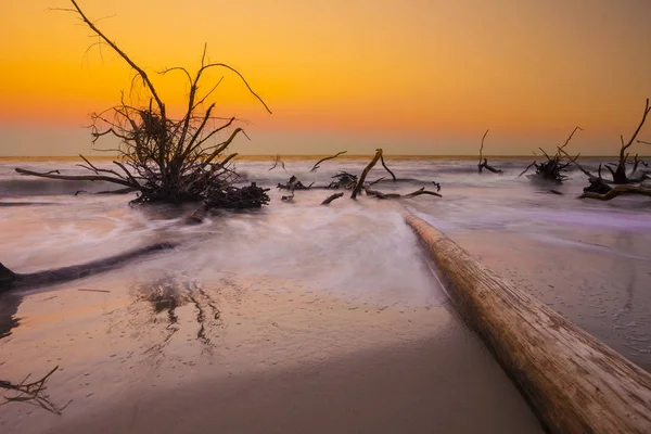 Troncos Oceano Pôr Sol Exposição Prolongada — Fotografia de Stock