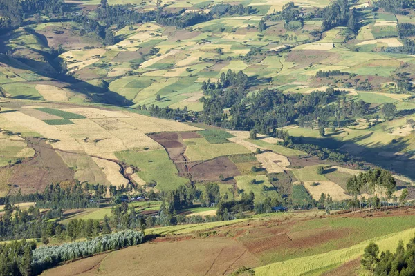 Etiyopya Dağlık Çiftlikleri Patchwork — Stok fotoğraf
