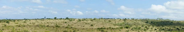 Panorama över Nairobi nationalpark — Stockfoto