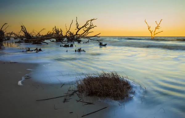 Time Exposure Waves Covering Driftwood Hunting Island State Park South — Stock Photo, Image