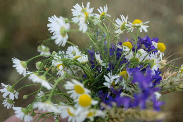Bukiet jasnych kolorowych kwiatów na niewyraźne tło — Zdjęcie stockowe