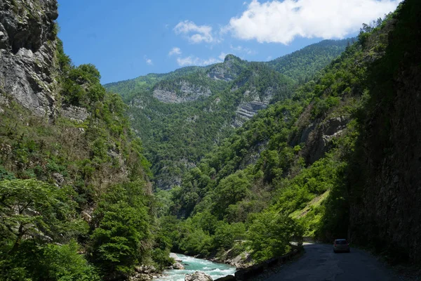Abhazya'da yüksek dağlar, yeşillikile çevrili — Stok fotoğraf