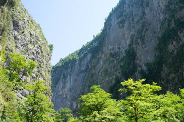 Abhazya'da yüksek dağlar, yeşillikile çevrili