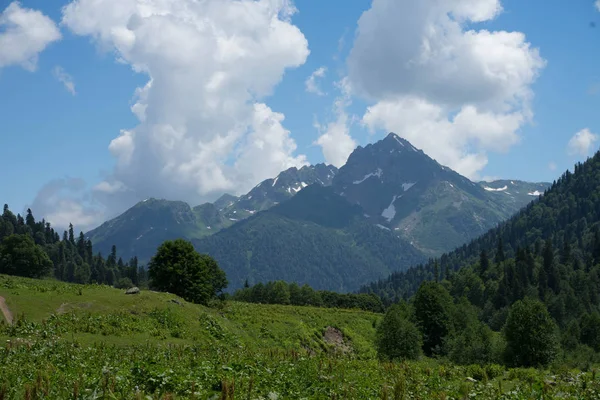 Abhazya'da alp yeşili çayırlar — Stok fotoğraf