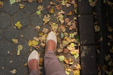 bacaklar yaprakları ile kaplı bir yol boyunca yürümek ... Sonbahar