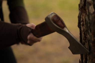 bir ağacın yanında bir kolu ile büyük balta