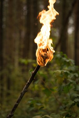 Yeşilliğin arka planında parlak alevli bir meşale