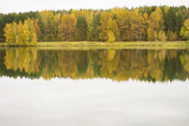 Orman, nehir ve sonbahar doğasının yansıması.