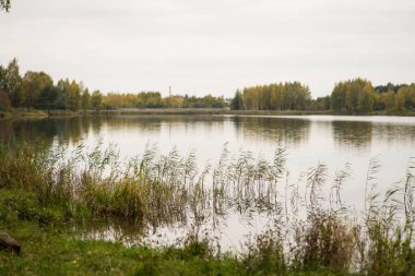 Orman, nehir ve sonbahar doğasının yansıması.